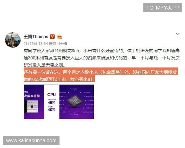 通过凯发ag旗舰官网电话获取专业客服支持，保障您的游戏安全与账户权益